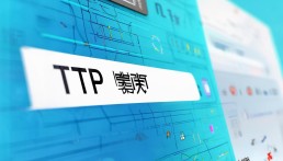怎样查询TP转账地址